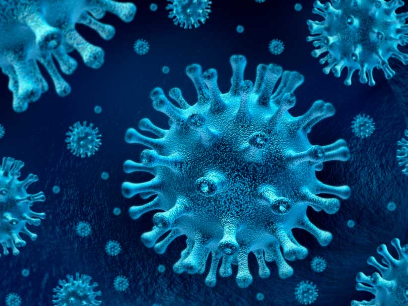 Tancament del divendres 13 al 27 de març de 2020 de tots els centres educatius del país per pal·liar l'efecte del Coronavirus
